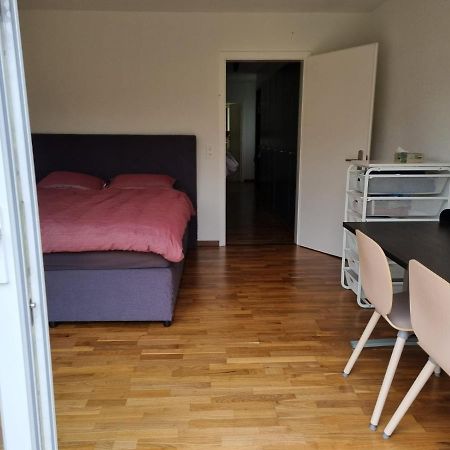 Le Landeron Chambre Lumineuse Dans Une Grande Villa מראה חיצוני תמונה